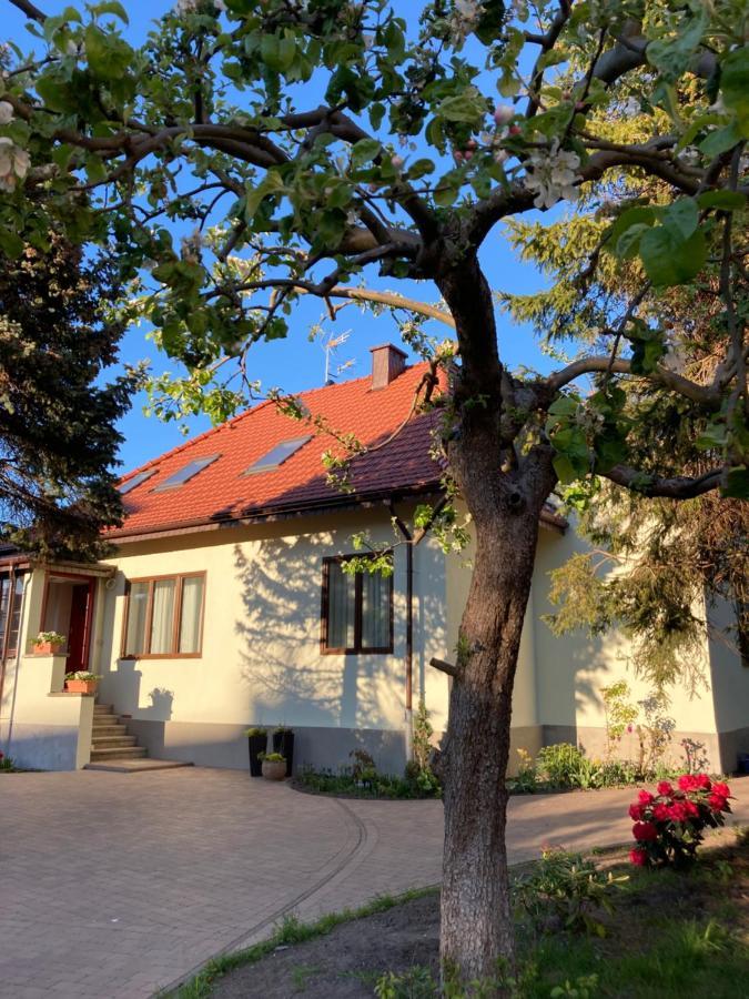 Willa Witkacy Słupsk Exteriér fotografie